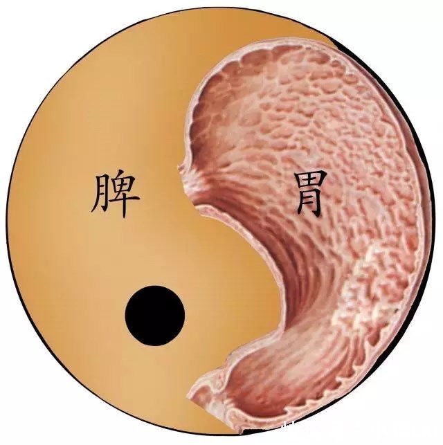 睡眠质量|玄元妙谷养生—一招养个好脾胃,春夏秋冬少生病