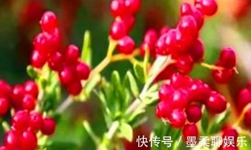 排毒|女性到了中年常吃的食物,刮油减脂,排毒护肤,预防子宫早衰