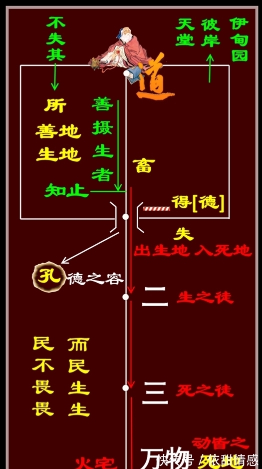 三维空间@《道德经》：老子的风箱，庄子的蝴蝶，人类几近失传的高维智慧