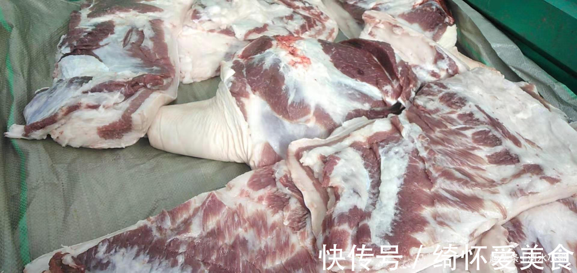 种猪批发行业：推动养殖业高质量发展的重要环节