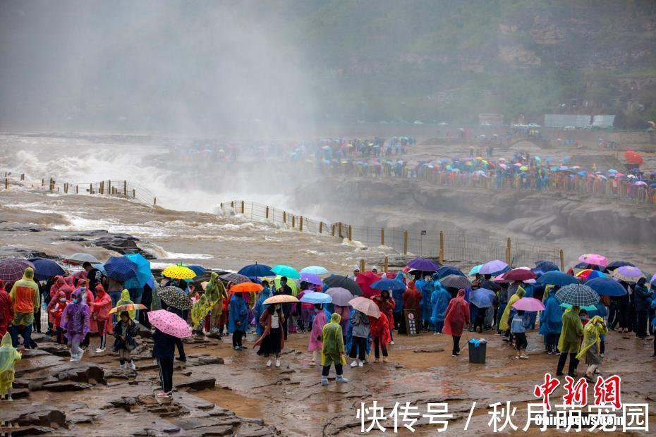 兰华|雨中的黄河壶口瀑布：波涛汹涌气势磅礴