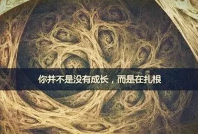 晾衣杠|什么叫价值？（深度好文）