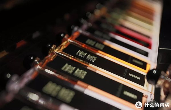 欢场|芦丹氏 欢场之子（精神小伙） “柏林少女”的CP香水