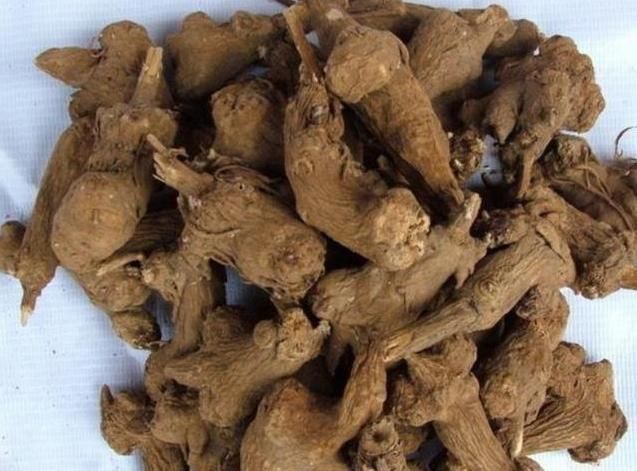 肿瘤|这副经典中药方为何治疗结节、肿瘤疗效好,因为由4种虫类药组成