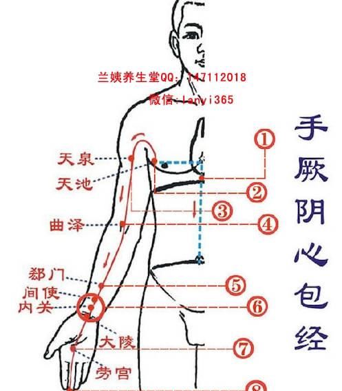  经上班时间|治百病经络大全：身体不舒服了，指导你拍哪条经络！疾病一扫光