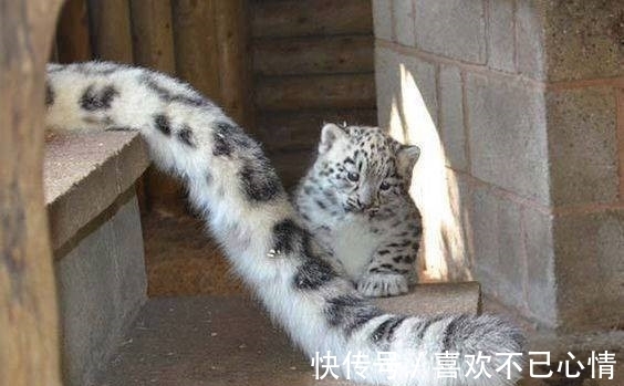 |搞笑段子笑话内涵图片:你们女孩子的友谊真的挺神奇的!