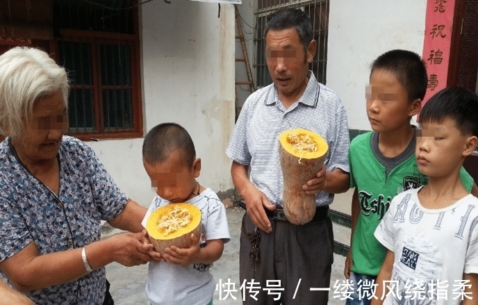 男子|男子买了个南瓜,切开发现豆芽和南瓜已“成亲”,“生活”在一起