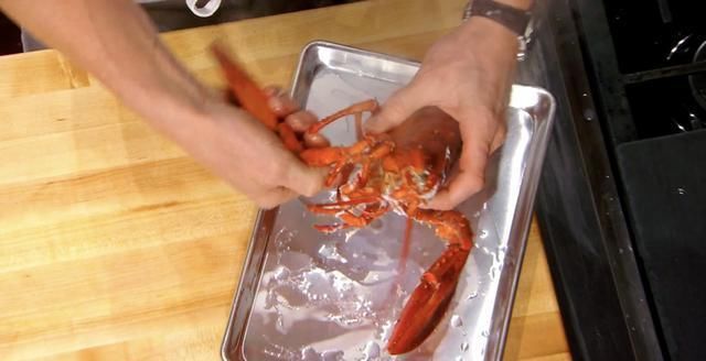 米其林|米其林大厨戈登拉姆齐，完美无痛拆龙虾肉，只需7步骤轻松上手