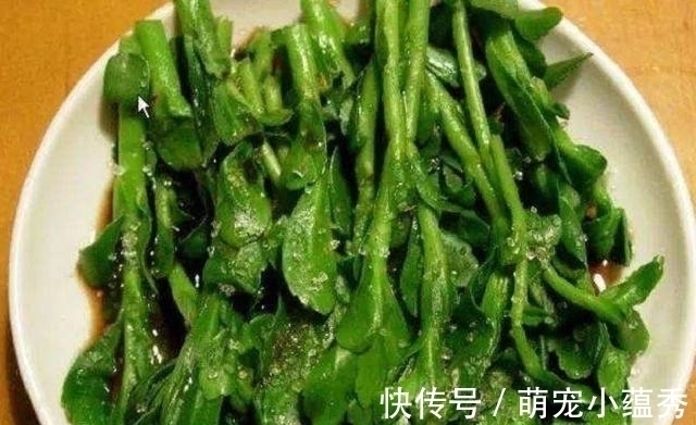 鸡枞菌|农村即将消失的4大美食,00后肯定没吃过,你呢?见过吗?