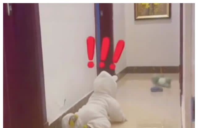 写作业|“二胎家庭”的日常太戳心了，哥哥要写作业，下一秒举动充满无奈