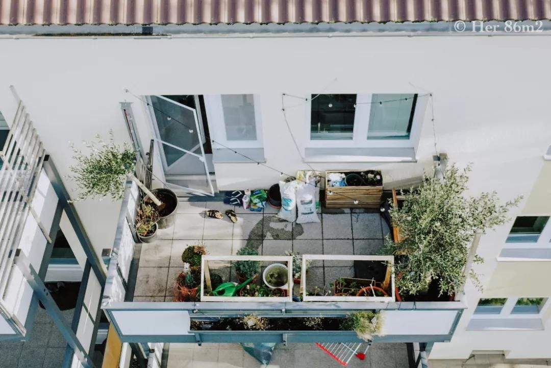 德国主妇将8㎡阳台打造成菜园，不花一分钱种够全家吃的菜