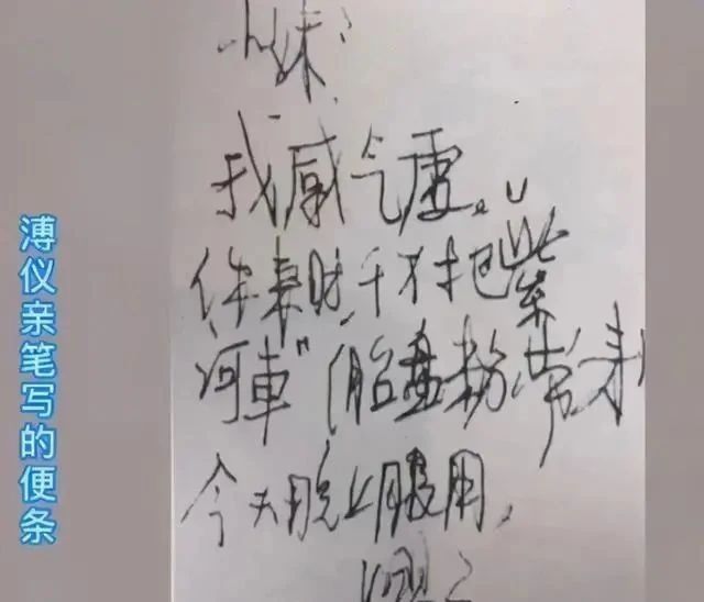 十足|溥仪写下了最后的28个字,没曾想,其硬笔书法亦精到,骨力十足