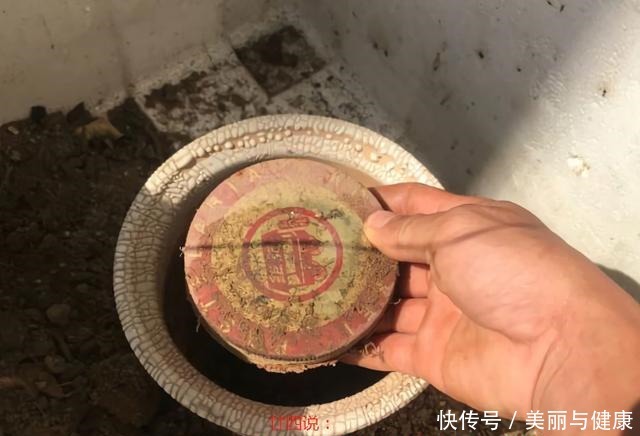 沙漠玫瑰“八爪根”完整教程,自己在家就能做,2年后价值翻几倍!