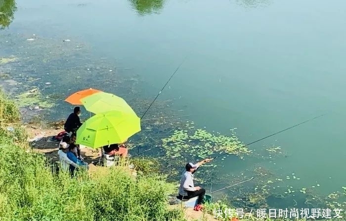 鲤鱼|水库钓鲤鱼技巧