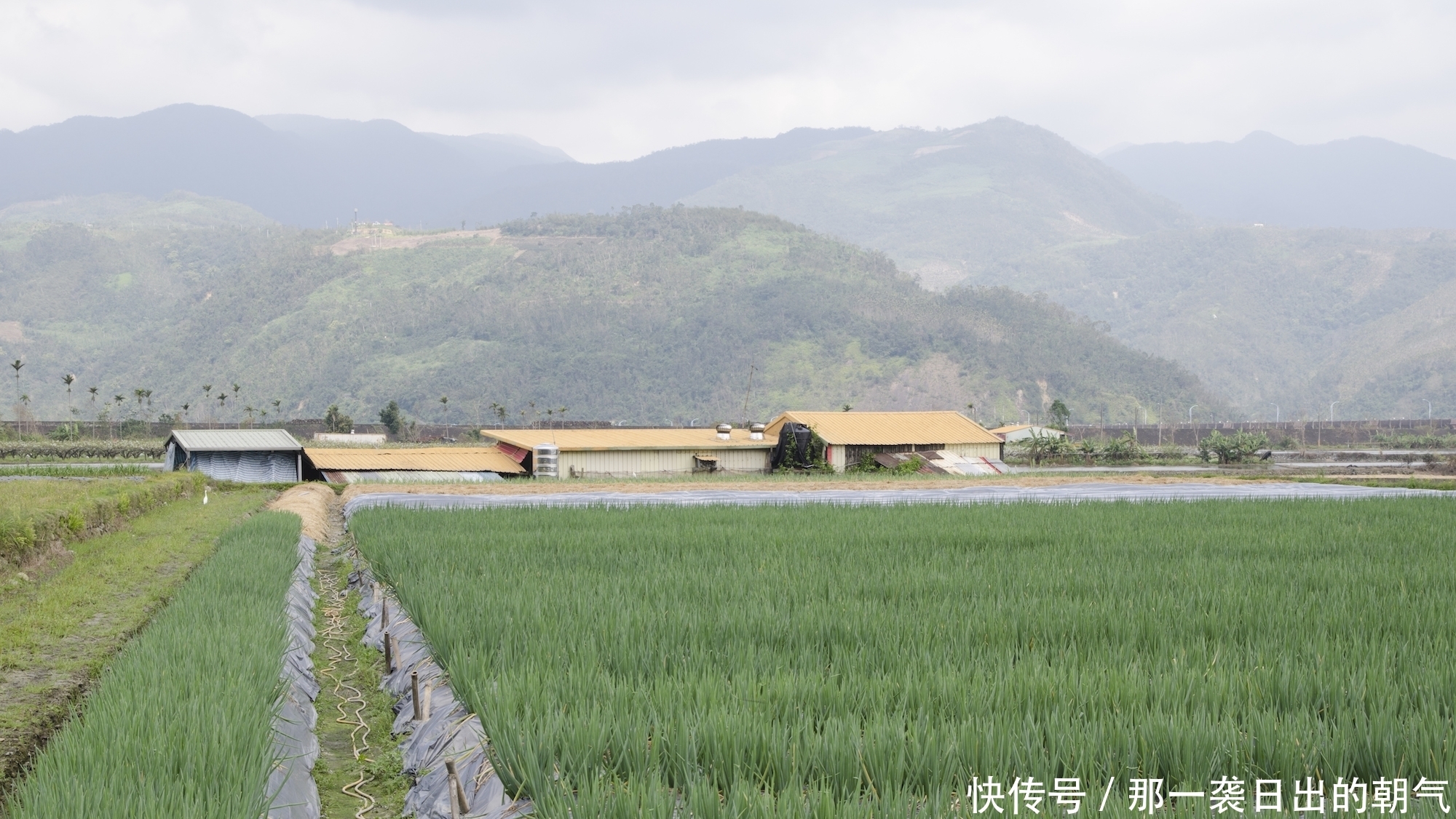 茶园|慢拾：走出民宿，跟着自己的心散步去