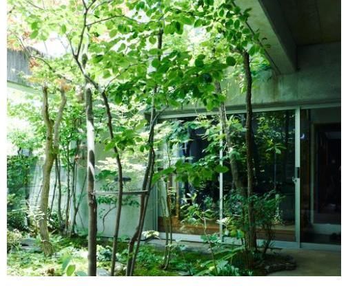 家居|日本夫妇的“绿植”之家,温馨又清新,夏日也能过得很“清新”