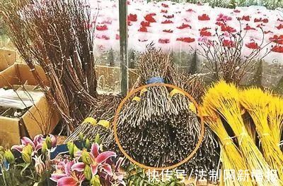 又出现了，别再买了!