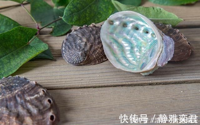 餐桌|一味中药生于大海,常见于餐桌,善平肝潜阳、清肝明目、降血中压