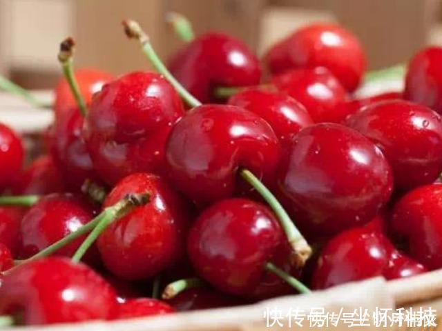 怀孕期间|怀孕期间,孕妈尽量多吃4大养胎食物,可能比吃燕窝效果还要好