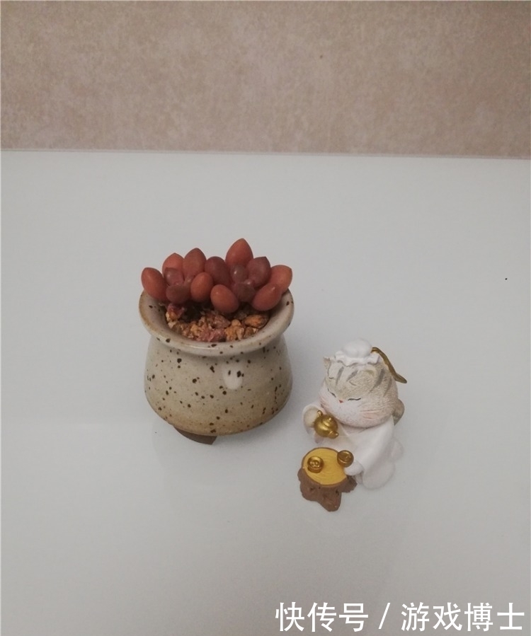 一肉一世界，一方一净土