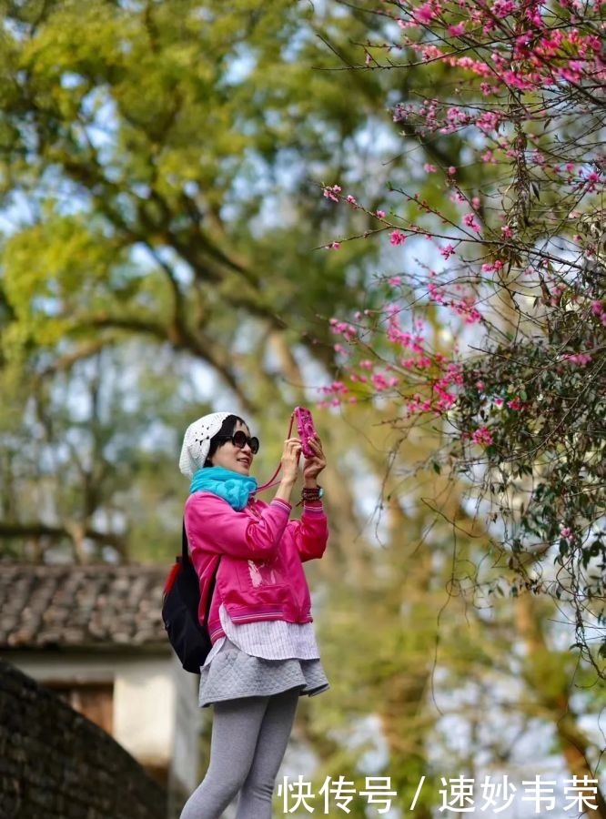 春游黟县丨最美赏花游攻略