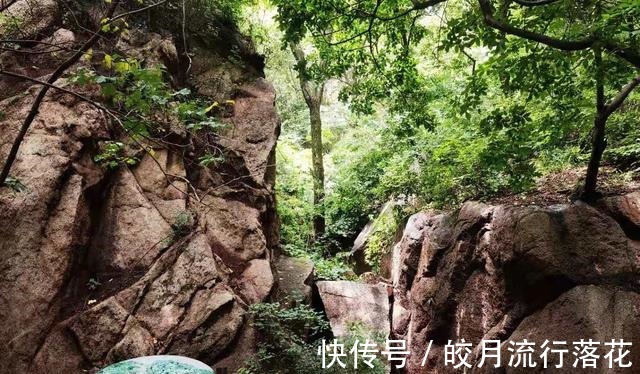 鸽子洞|北京大岭沟猕猴桃谷风景区，幽静空谷听鸟鸣，到山顶看草木葱茏！