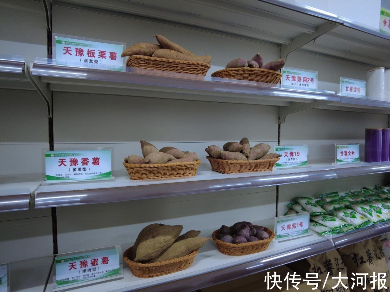 食品公司|烤红薯还能当冰淇淋吃？周口这家食品公司的“脑洞”绝了