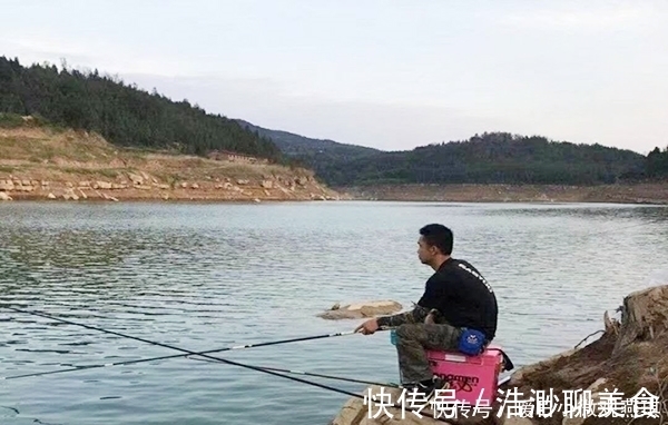 此文|用老三样从未钓到过鲤鱼?到底是谁的问题,看完此文就明白了