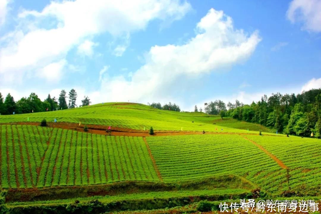 非物质文化遗产|施秉：破茧蝶变振翅飞 水墨云山绽芳华