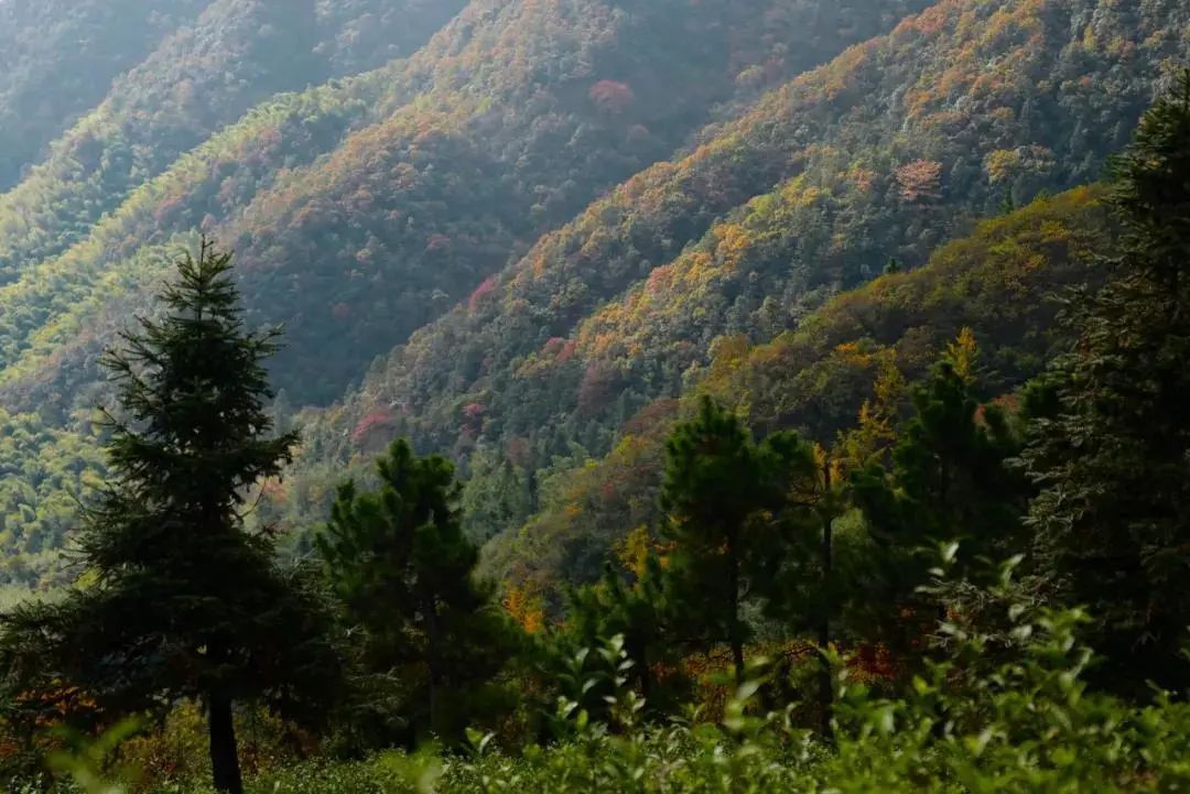 线路|登山好时节！余杭鸬鸟这些登山线路风景超美，赶快安排！