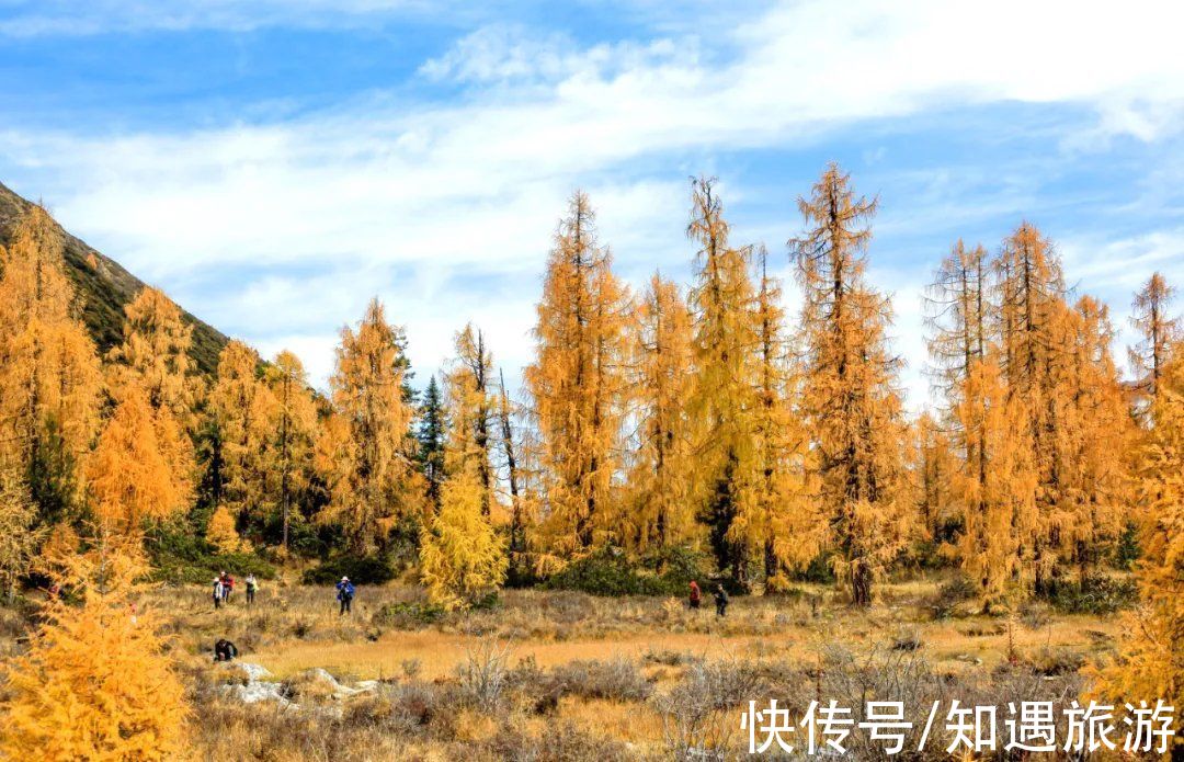 自驾|最值得一去的6处秋景，太美了！短暂的秋季美好，千万别错过