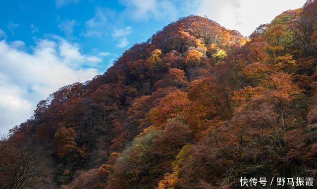 美景|朱熹最经典的一首诗，通篇美得令人惊艳，写出了不一样的秋色美景
