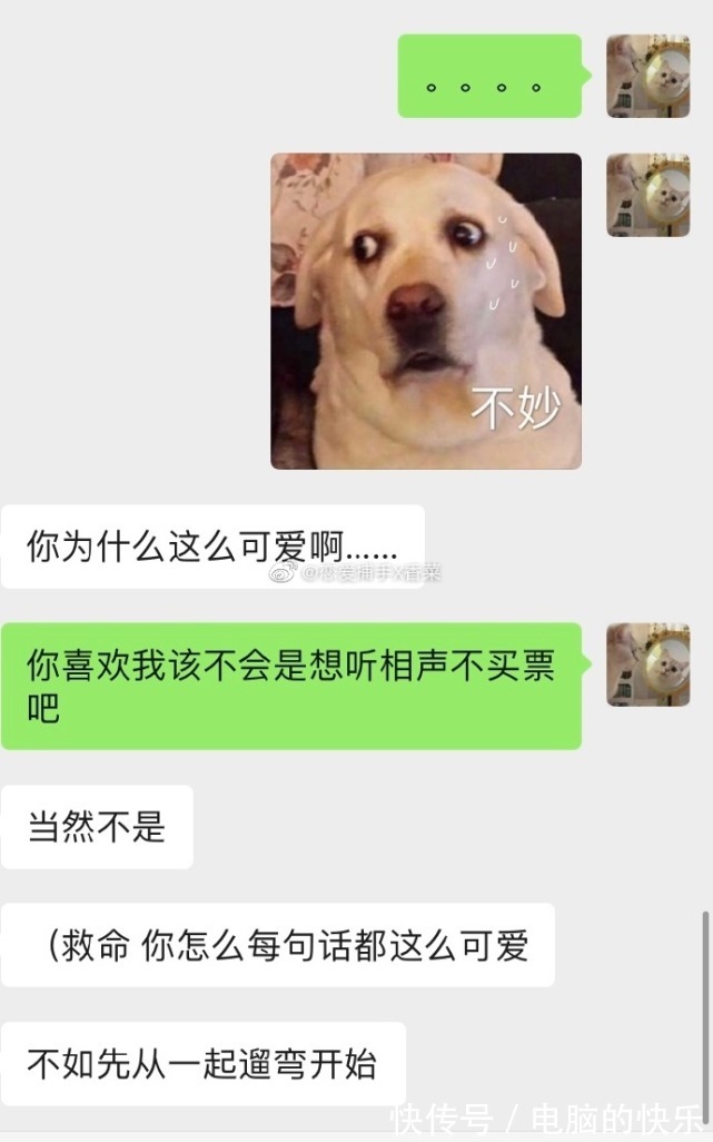 |搞笑女居然也能和帅哥有爱情?救命有被狠狠甜到……