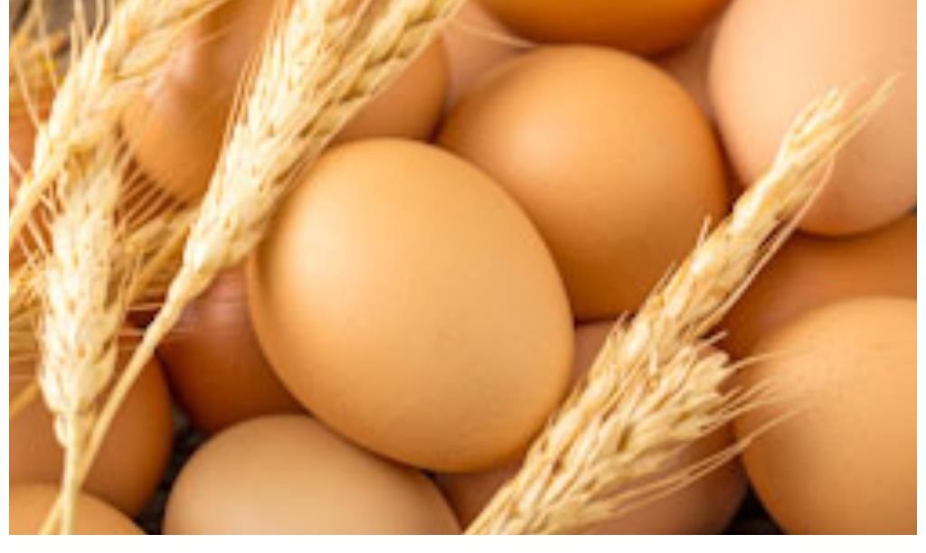 骨密度|骨科医生：3种早餐吃多，或会导致骨量不断流失，尽量避免