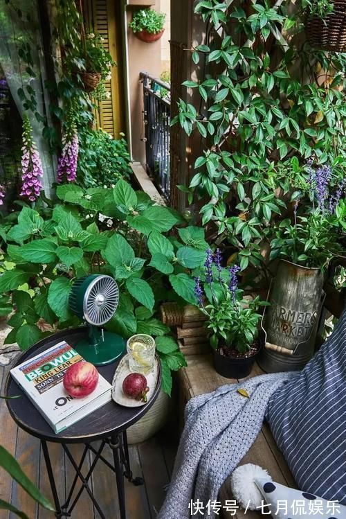 闲人|这样的阳台,那院子我也不换,美得太过分,今生只做个闲人了!