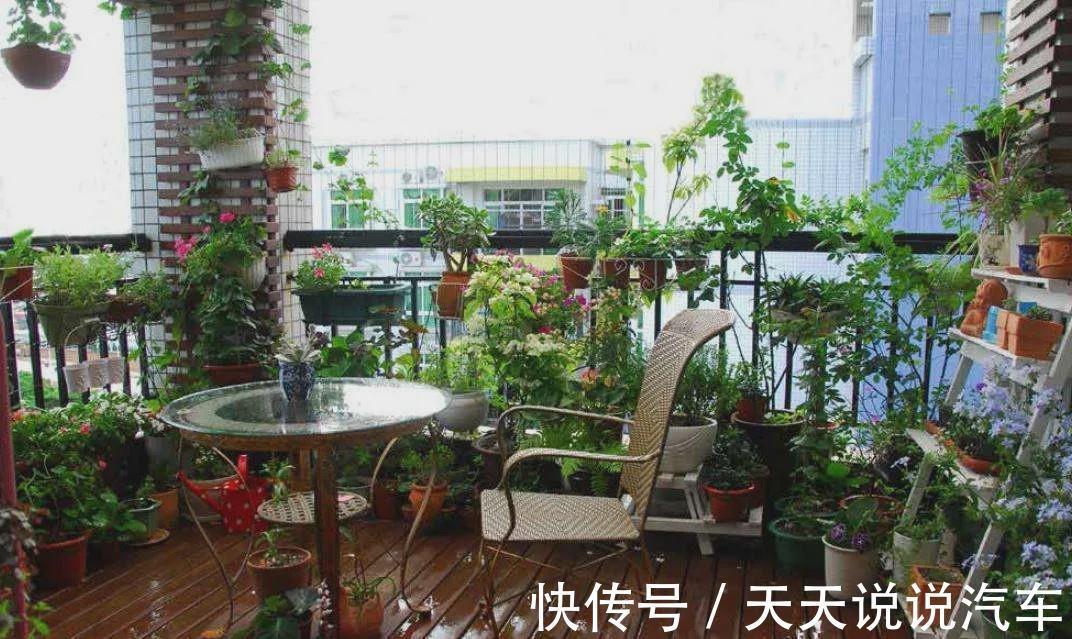 长阳台|阳台空间过于杂乱?这样设计阳台,阳台美观又实用