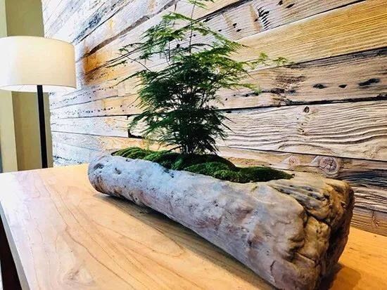 乔辉|乔辉:室内设计师在巨变中前行