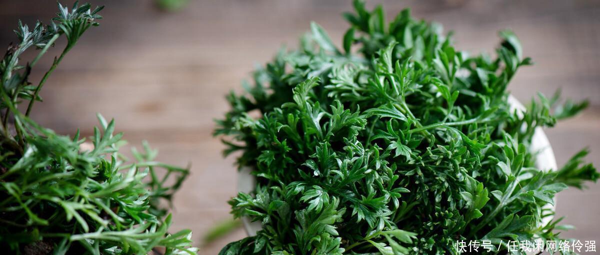 做法|茼蒿怎么做好吃，教你两种家常做法，简单又美味