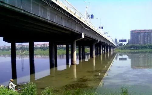 垂钓|到了三伏天,我就只在这3个钓点下竿,气温再高也能接连上鱼