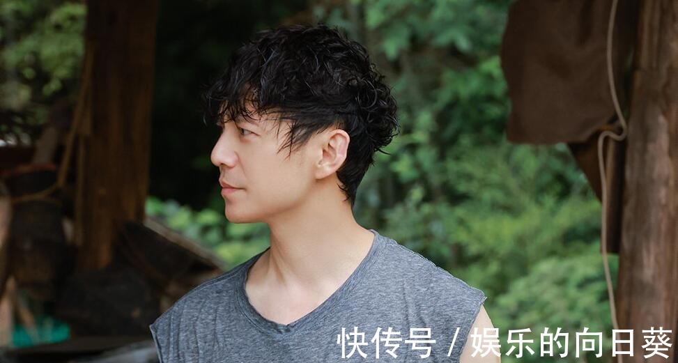 何炅|何炅凭什么能成为综艺界的“定海神针”赵露思一语道破玄机