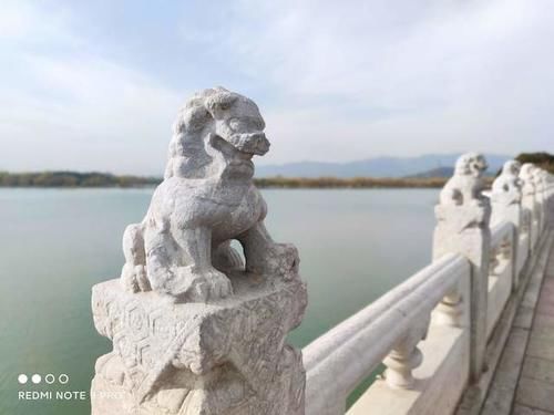 实拍|红米Note9 Pro一亿像素实拍，这真是一千多元的手机？