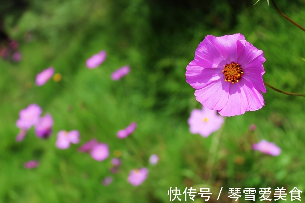 大姨|儿女成家后,和亲家相处做到2点就够了,很重要