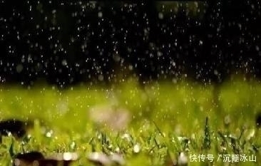 萋萋$十五首描写小草的古诗词，为君闲暇助兴，茶余饭后解闷