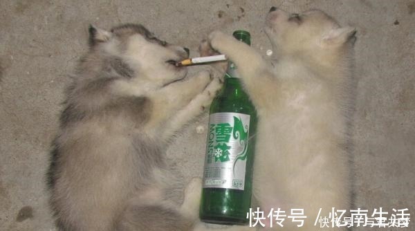 |不知哪位高人写的喝酒段子,笑翻了!发给朋友开心一下