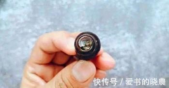 鲜肉|炒田螺时，多这一个步骤，不仅泥沙能吐干净，还汤鲜肉美！