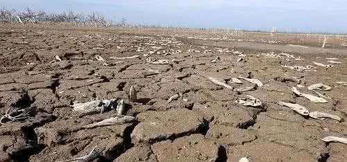 就算|古代饥荒,老百姓为何宁可吃树皮草根,也不去山中打猎河里捕鱼