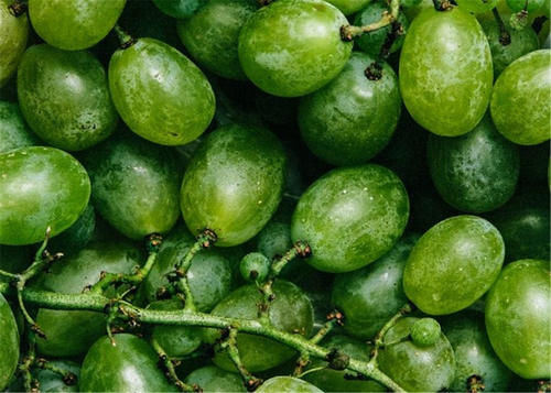 女性过了30岁，多吃三种食物，理气止痛，化痰止咳，预防感冒