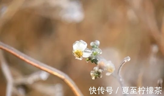 夜阑珊@捻月,孤灯长鸣