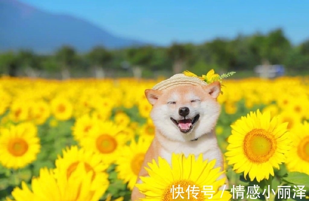 幸福来敲门|坚持不下去了怎么办?