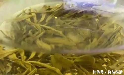 茶叶|万病之药找到了170位名老中医长寿大调查,共性就是一杯它